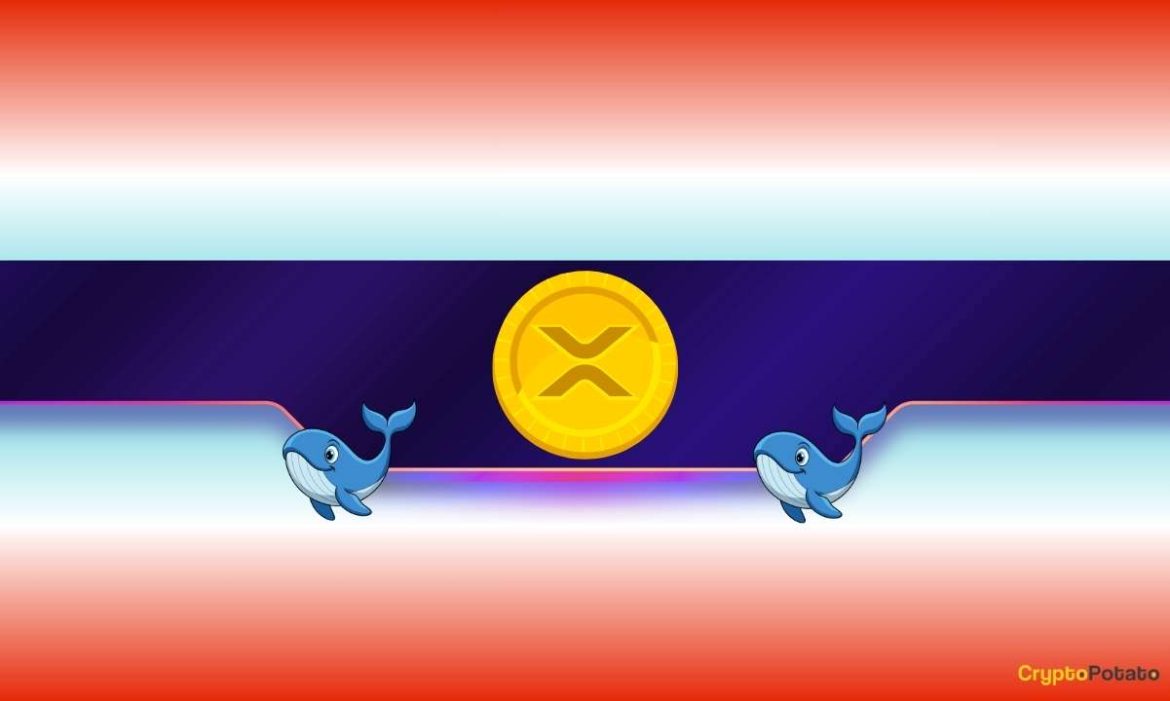 Big Whale Exodus Sparks New Crash Fears