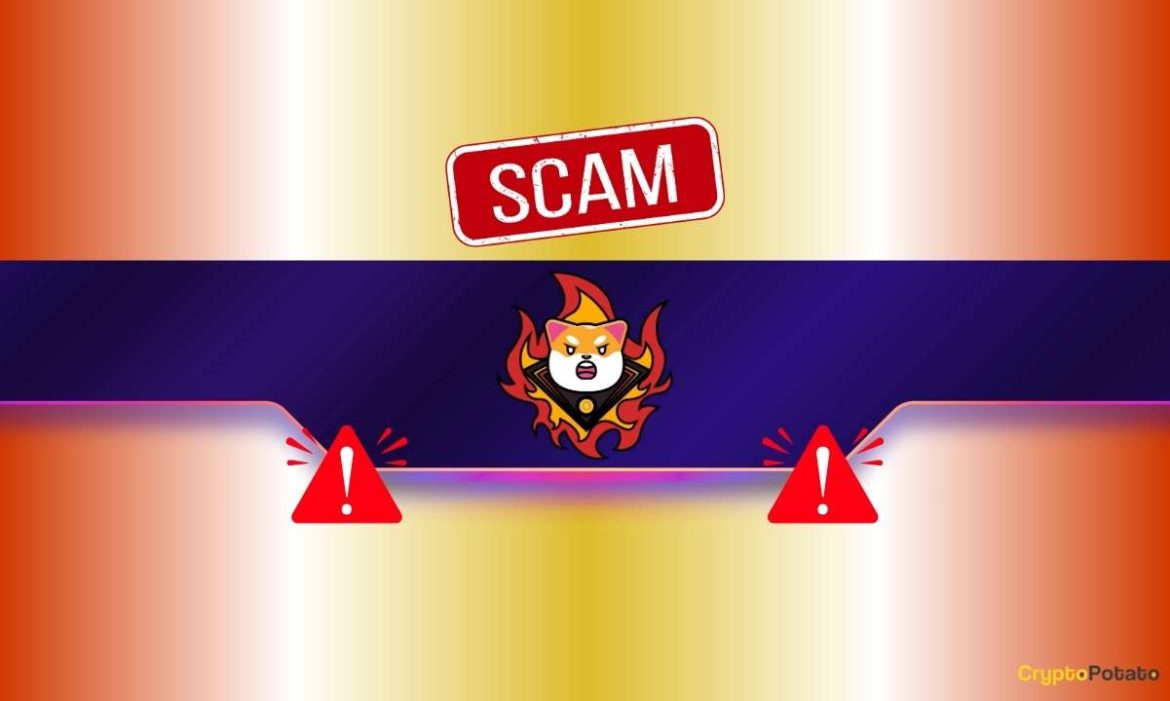 Critical Warning Concerning Shiba Inu (SHIB) Users: Details