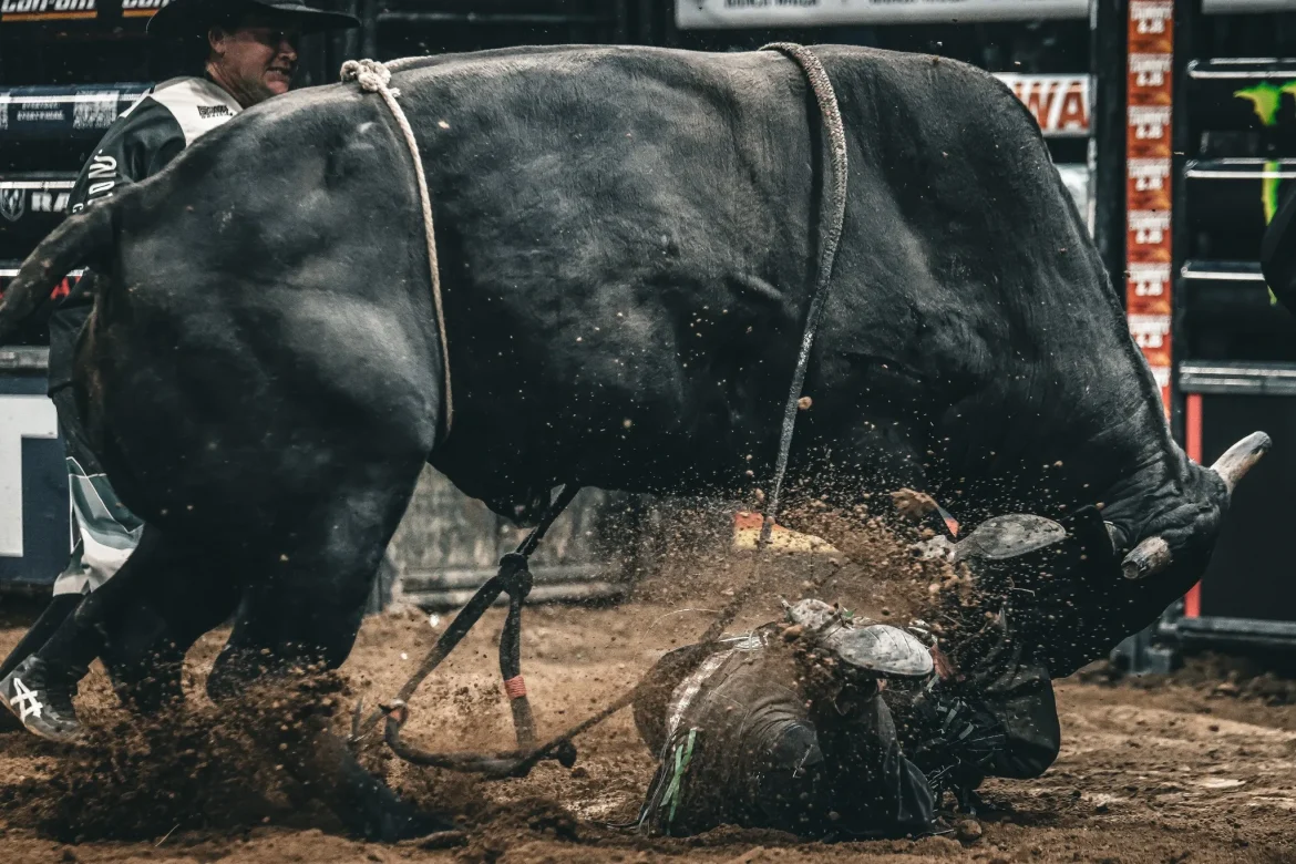 Ethereum Beware — Analyst Says XRP’s Next Bull Run Could Be Deadly