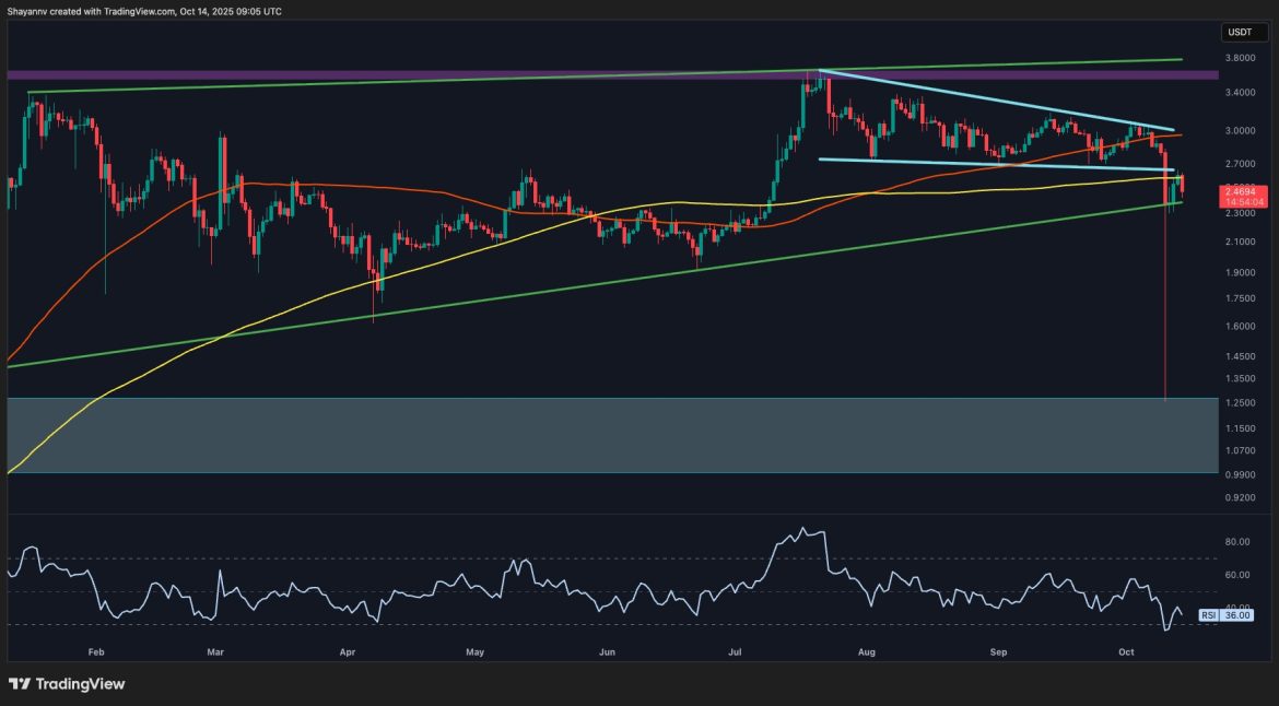 Key XRP Support Levels to Watch If Another Crash Occurs