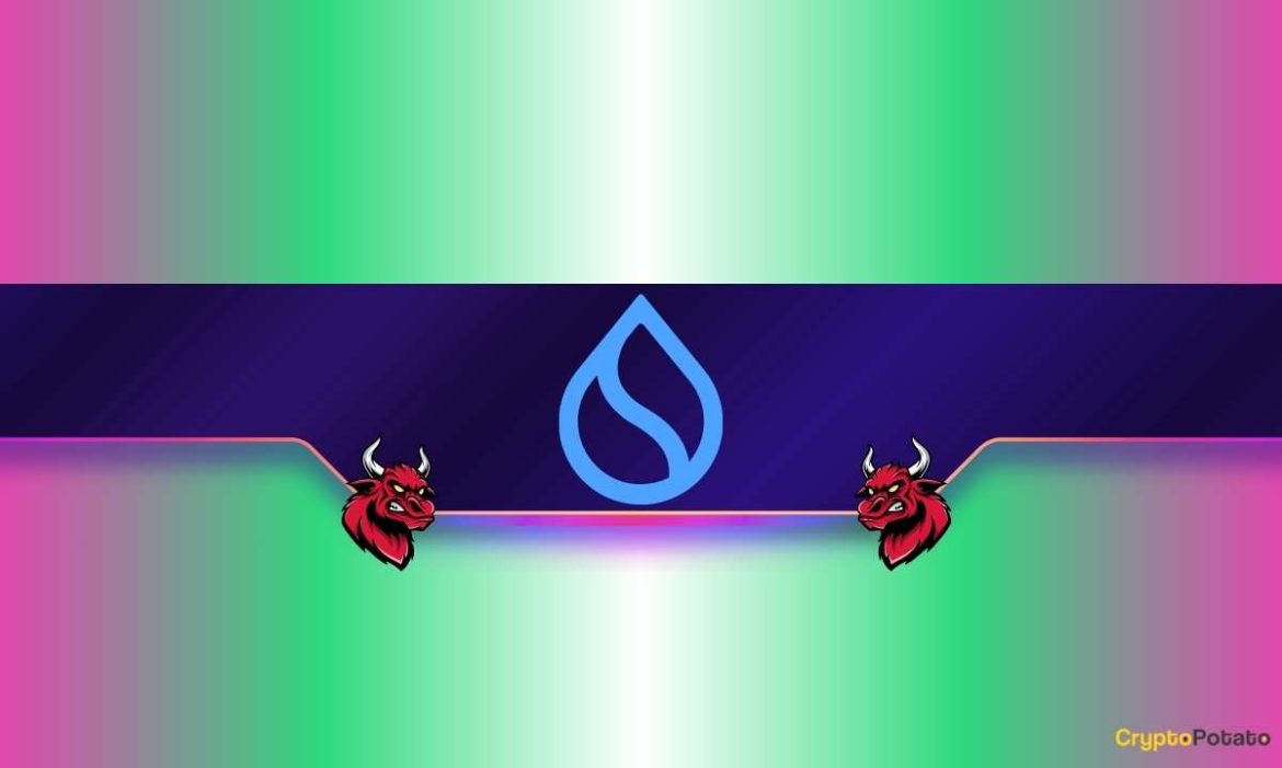 SUI Bulls Watch Key Levels as Support Holds Firm