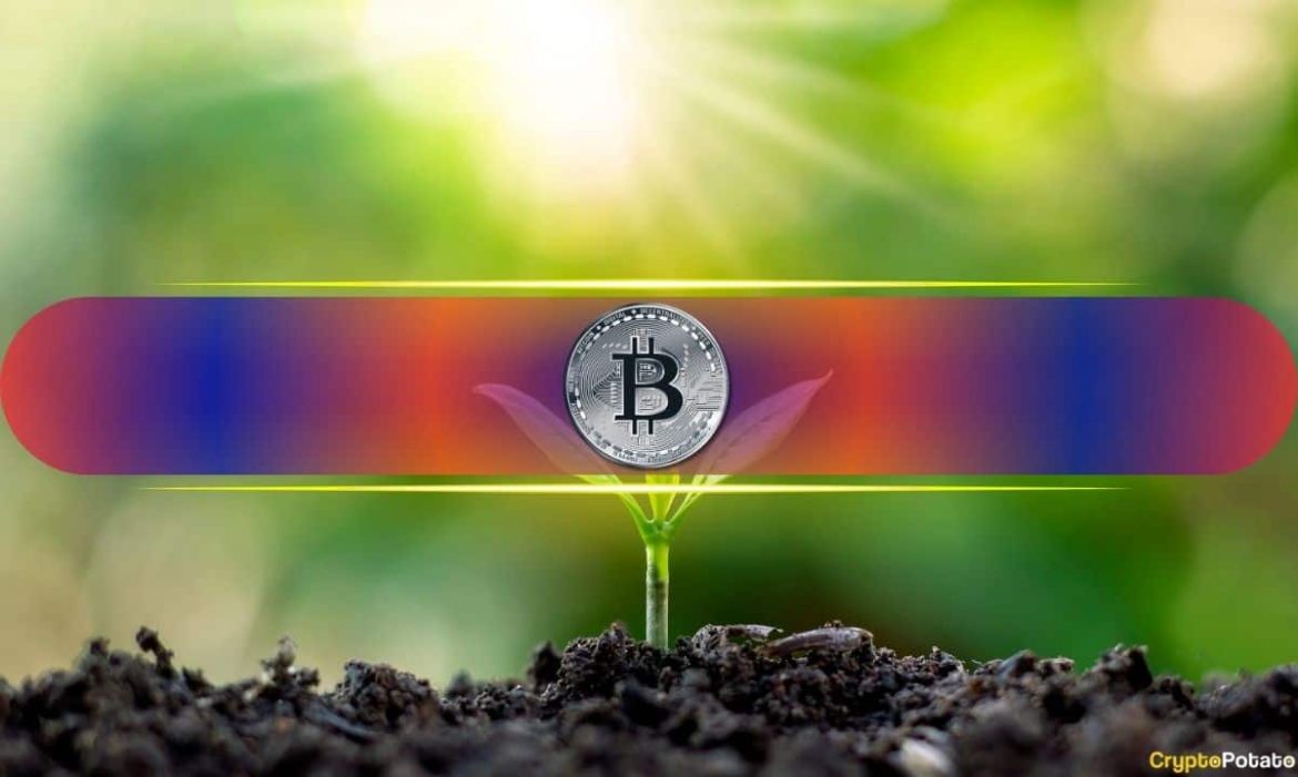 Was Last Week’s Deleveraging Event a Necessary Reset for The Was Last Week’s Deleveraging Event a Necessary Reset for The Bitcoin Market? Glassnode Weighs In