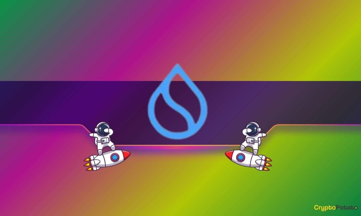 SUI Crashes Into Crucial Support – Bounce or Breakdown Ahead?