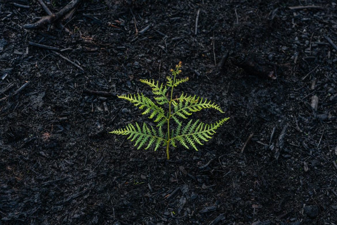 British investor thought he lost $2,000 in bitcoin in 2012. He just recovered $4.5 million